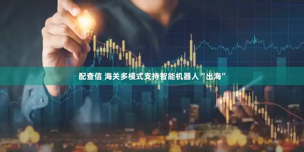 配查信 海关多模式支持智能机器人“出海”