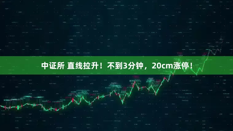 中证所 直线拉升！不到3分钟，20cm涨停！