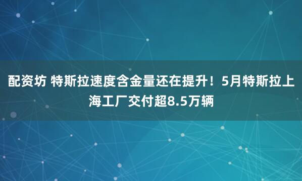 配资坊 特斯拉速度含金量还在提升！5月特斯拉上海工厂交付超8.5万辆